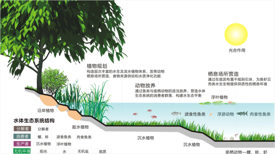咱科技 生态修复,瞧咱科技的力量